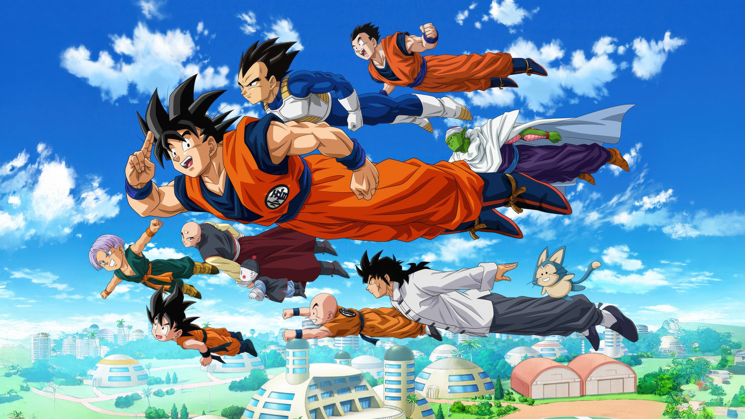 Dragon Ball z Action Figure